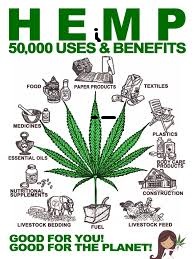 Hemp benefits