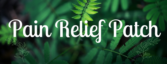 Copy of Morning Meditation